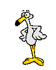 Benutzeravatar