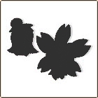 letztes bild2.jpg