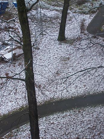 100_6456.JPG